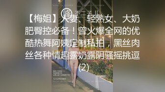 【梅姐】人妻、轻熟女、大奶肥臀控必备！曾火爆全网的优酷热舞阿姨定制私拍，黑丝肉丝各种情趣露奶露阴骚摇挑逗 (2)