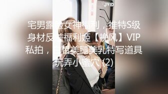 宅男露脸女神福利，推特S级身材反差福利姬【挽风】VIP私拍，白皙美腿美乳特写道具玩弄小蜜穴 (2)