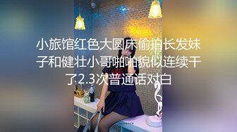 商场女厕全景后拍格子褂小妹完美的臀型以及下蹲展开的大肥鲍鱼