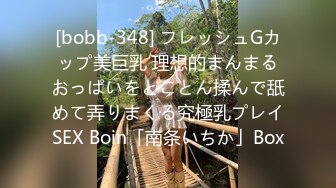 [bobb-348] フレッシュGカップ美巨乳 理想的まんまるおっぱいをとことん揉んで舐めて弄りまくる究極乳プレイSEX Boin「南条いちか」Box