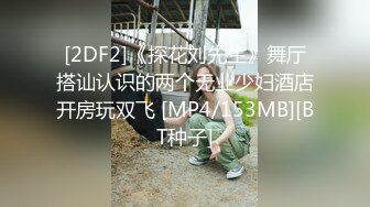 [2DF2]《探花刘先生》舞厅搭讪认识的两个无业少妇酒店开房玩双飞 [MP4/153MB][BT种子]