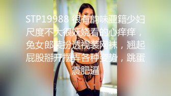 STP19988 很有韵味亚籍少妇尺度不大很妖娆看的心痒痒，兔女郎装扮透视装网袜，翘起屁股掰开摆弄各种姿势，跳蛋震肥逼