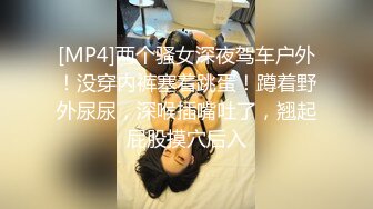 [MP4]两个骚女深夜驾车户外！没穿内裤塞着跳蛋！蹲着野外尿尿，深喉插嘴吐了，翘起屁股摸穴后入