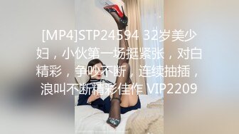 [MP4]STP24594 32岁美少妇，小伙第一场挺紧张，对白精彩，争吵不断，连续抽插，浪叫不断精彩佳作 VIP2209