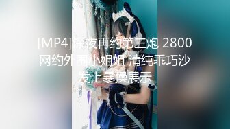 [MP4]深夜再约第三炮 2800网约外围小姐姐 清纯乖巧沙发上暴操展示