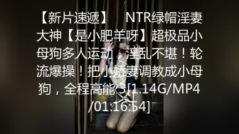 【新片速遞】 ⚡NTR绿帽淫妻大神【是小肥羊呀】超极品小母狗多人运动，淫乱不堪！轮流爆操！把小娇妻调教成小母狗，全程高能 3[1.14G/MP4/01:16:54]