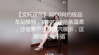 【文轩探花】3000网约极品车站模特，清纯女神苗条温柔，沙发撕开丝袜抠穴展示，这颜值物有所值