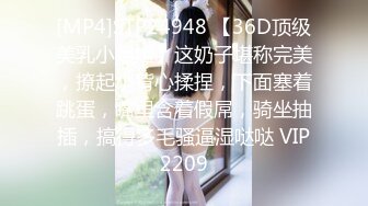 [MP4]STP24948 【36D顶级美乳小姐姐】这奶子堪称完美，撩起小背心揉捏，下面塞着跳蛋，嘴里含着假屌，骑坐抽插，搞得多毛骚逼湿哒哒 VIP2209