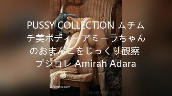 PUSSY COLLECTION ムチムチ美ボディーアミーラちゃんのおまんこをじっくり観察 プシコレ Amirah Adara