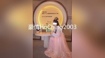 豪情HoChing2003